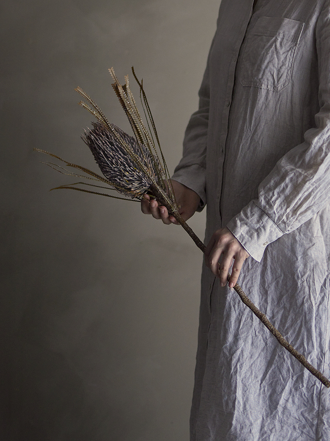 Bloomingville Τεχνητό Λουλούδι Γαϊδουράγκαθο, διακοσμητικό, καφέ