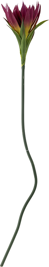 Bloomingville Τεχνητό Λουλούδι, Κρίνος, μωβ