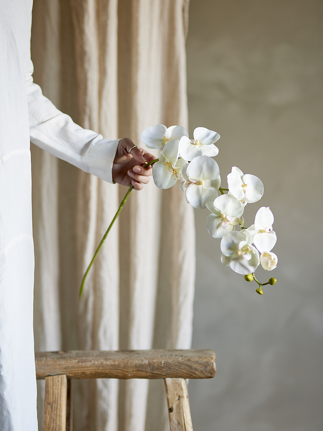 Bloomingville Ορχιδέα, τεχνητή, μωβ