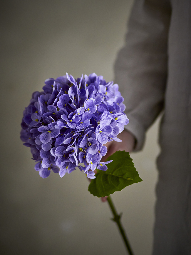 Bloomingville Τεχνητό Λουλούδι Ορτανσία, 36 cm, λευκό