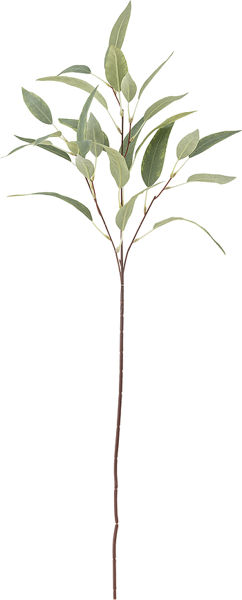 Bloomingville Τεχνητό Φυτό Ευκάλυπτος, 18 x 85 εκ., πράσινο