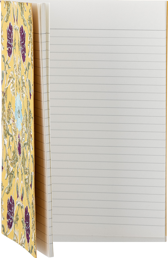 Celestina Notes, B5, rumen