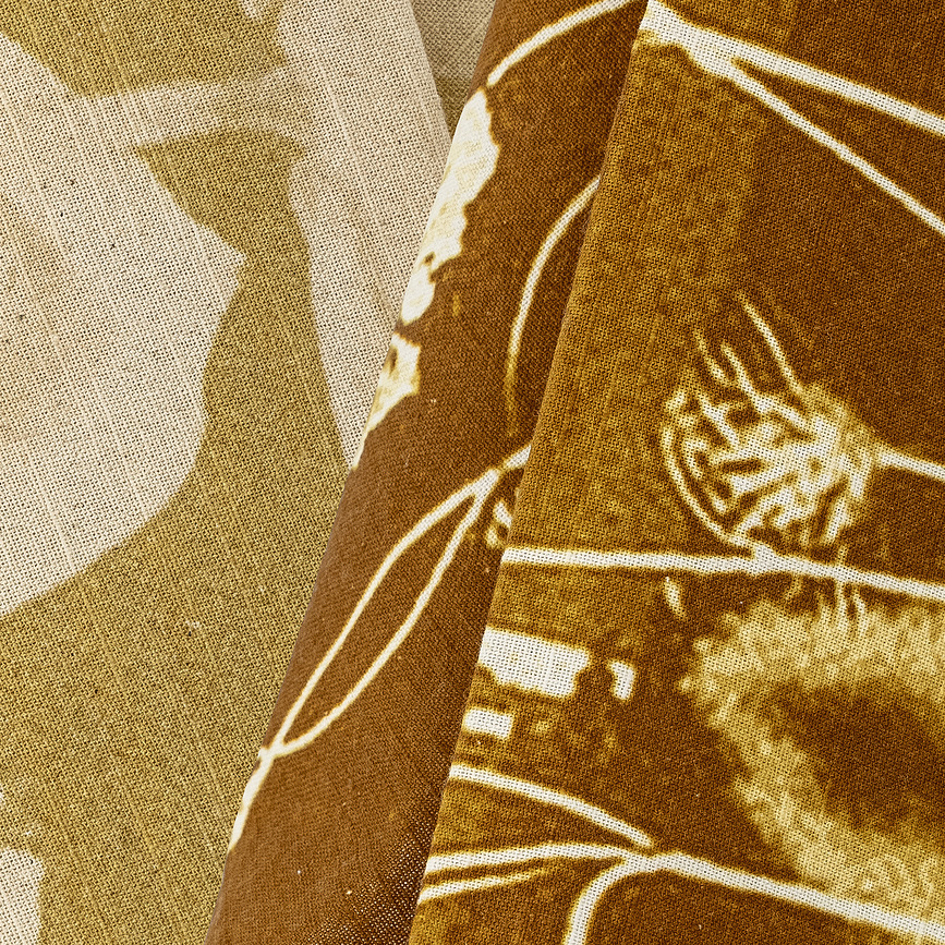 Celleste Torchons de cuisine 45 x 70 cm, Lot de 2