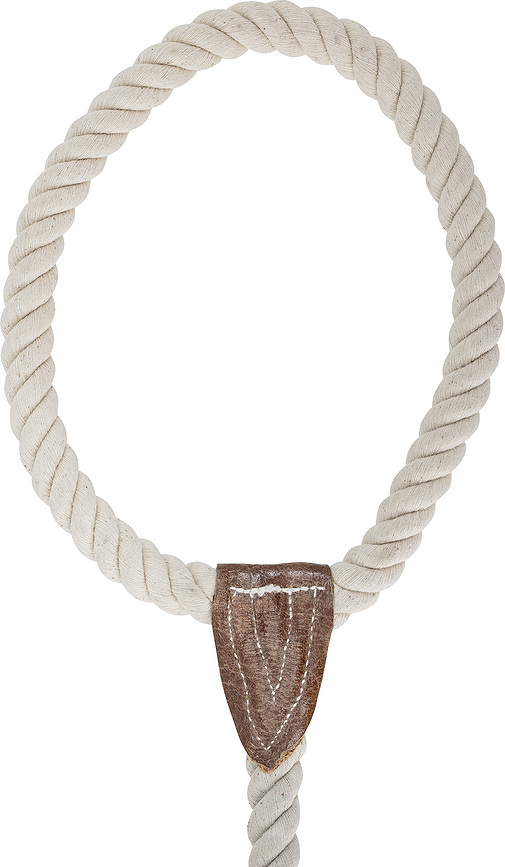 Ceylan Povodac za psa