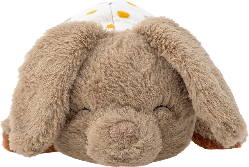 Charlie 2-in-1 Cuddly Toy