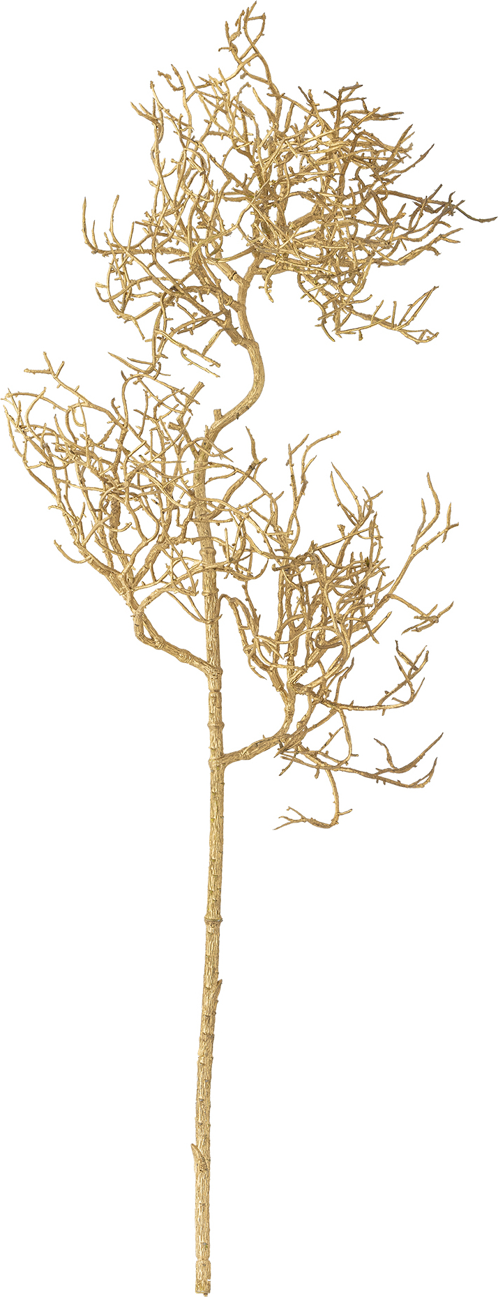 Coral künstlicher Korallenzweig