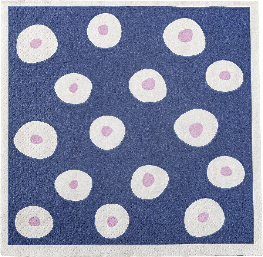 Eviaya Papirnate serviete, 33 x 33 cm, 20 kosov