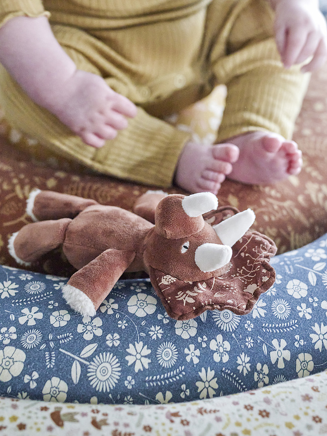 Fintan Peluche tricératops