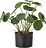 Fiore finto in vaso Bloomingville erba centella comune S