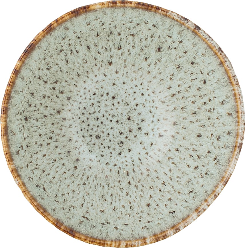 Fleur ΜΠΟΛ, 200 ml