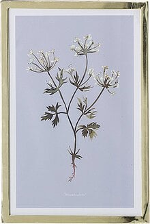 Flora Seinakaunistus 30 x 20 cm