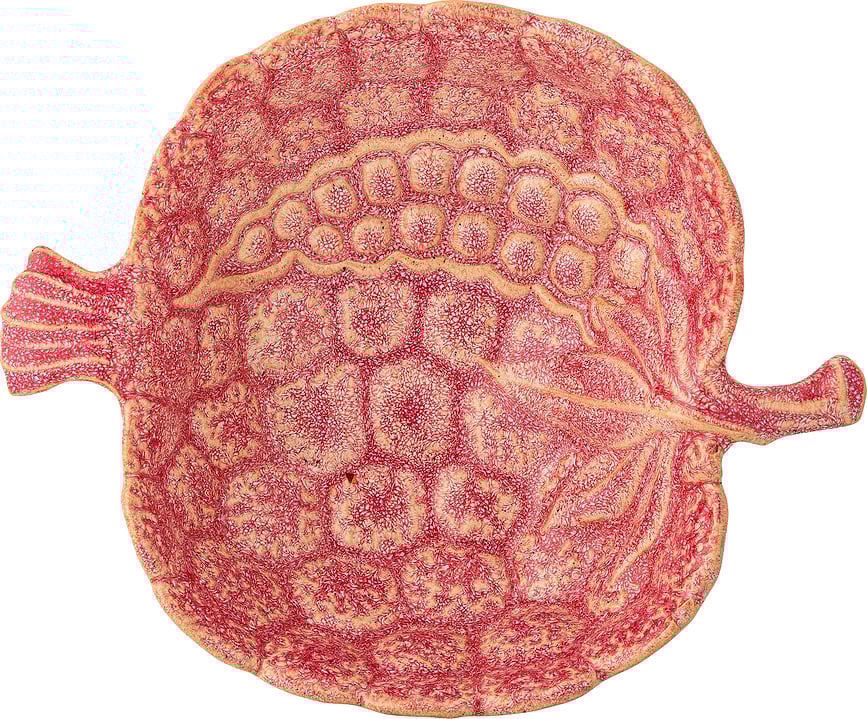 Gideon Διακοσμητικό ΜΠΟΛ, 200 ml