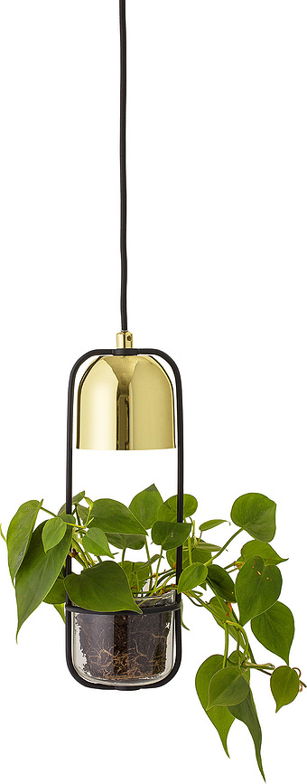 Gullak Suspension avec jardinière