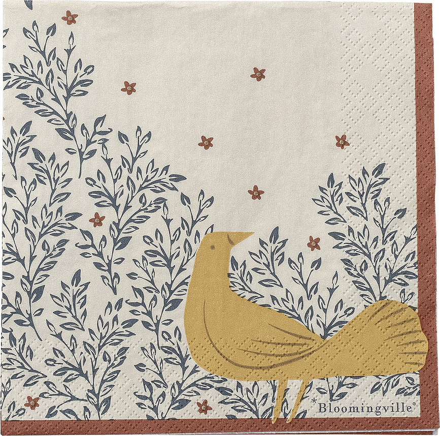 Hezha Papirnate serviete, 33 cm, 20 kosov