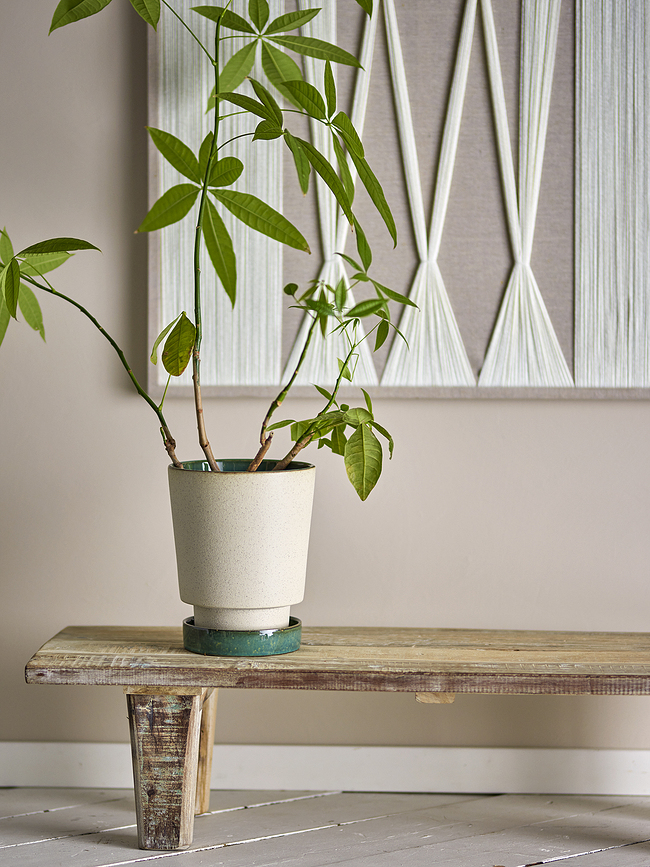 Idril Γλάστρα με πιατάκι, 19 εκ.