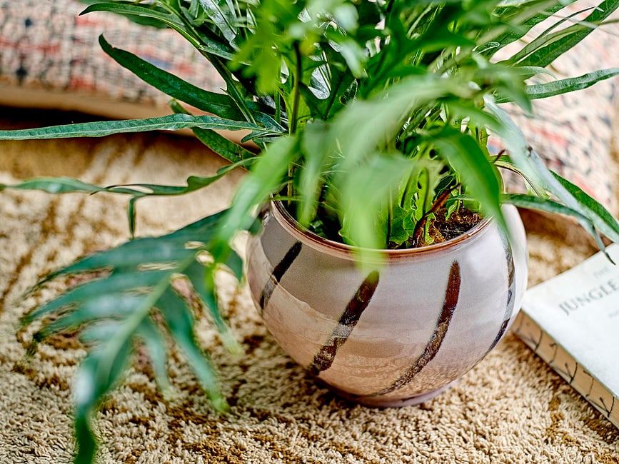 Iman Ukrasna Posuda 21 cm