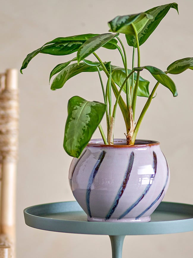 Iman Ukrasna Posuda 21 cm