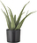 Kwiat sztuczny doniczkowy Bloomingville aloes S