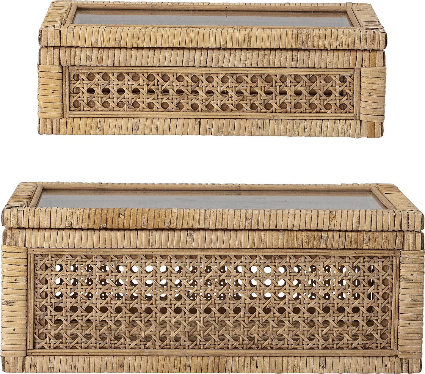 Nature Boxen 2 St.