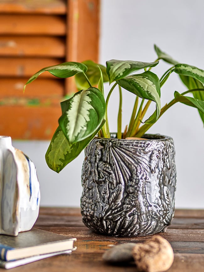 Nikou Ukrasna Tegla 18 cm