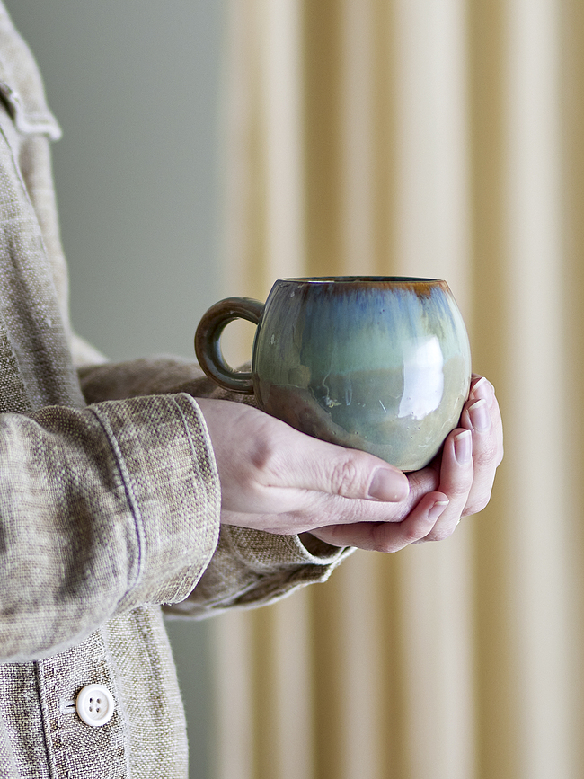 Paula Šalica tamnosmeđa