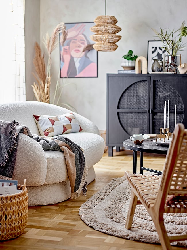 Paula Šalica tamnosmeđa