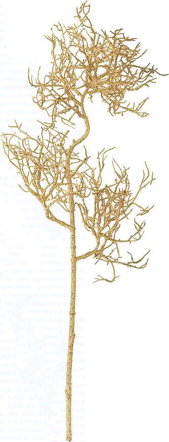 Rama Artificial Coral, tipo coral marino, decorativa