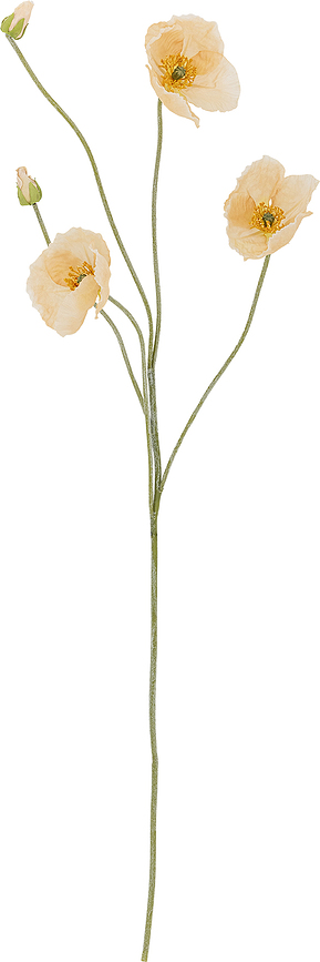 Umjetni cvijet Bloomingville Poppy, kremasti