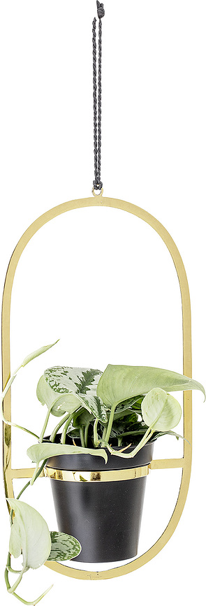 Zeta Porte-plante suspendu, 15 cm