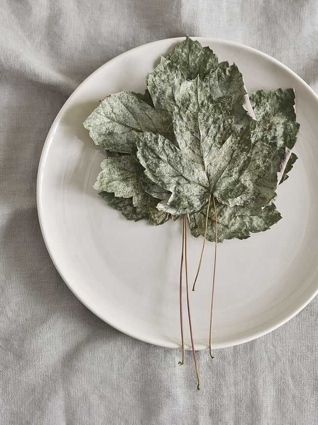 Arcs Tanjuri 20 cm 2 kom.