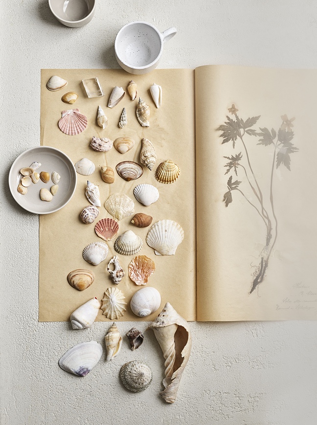 Arcs Tasses à Espresso, Lot de 2