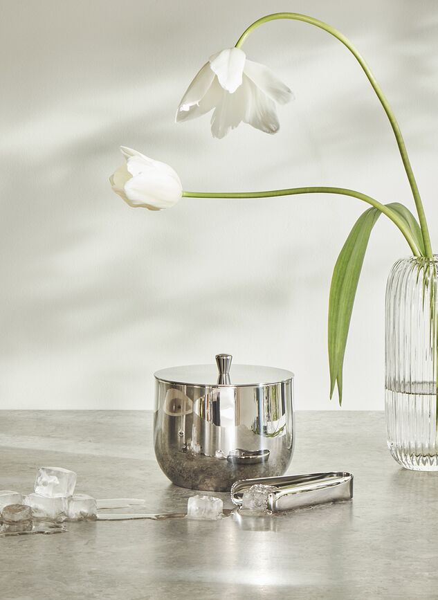 Cubo de hielo con pinzas Rheolog, Set de 2 piezas