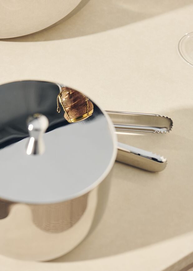 Cubo de hielo con pinzas Rheolog, Set de 2 piezas