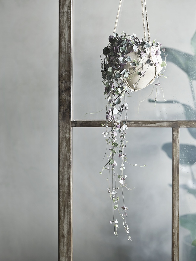 Grove Cache-pot suspendu, 17 cm, ivoire