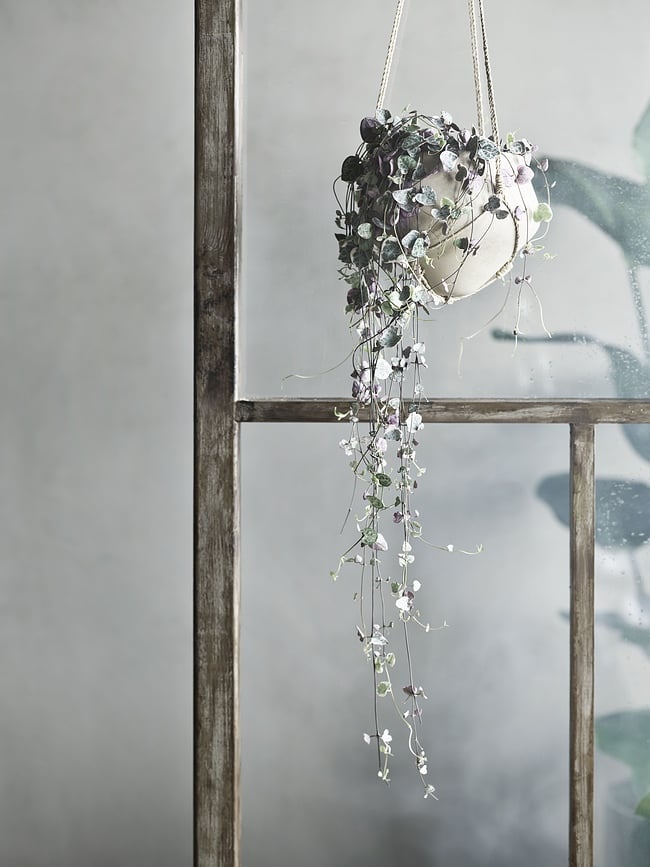 Macetero colgante Grove, 17 cm, marfil