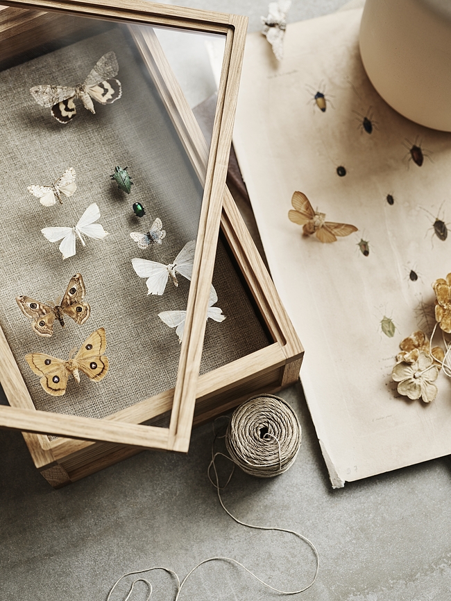 Norie Boîte de Rangement en bois, chêne naturel, avec couvercle en verre