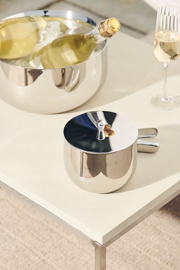 Rheolog Posoda za led s kleščami, 2 kosa