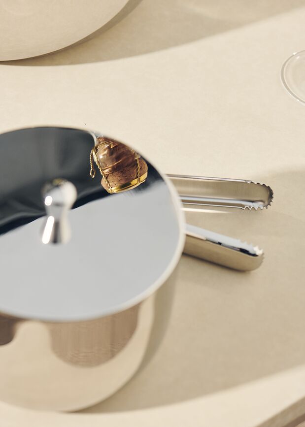 Rheolog Seau à Glace avec pince, Set 2 pièces