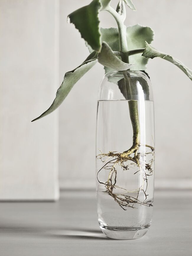 Una Βάζο, 29 εκ., φιμέ