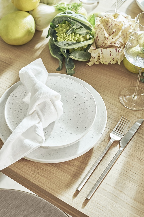 Zeppelin Σετ Μαχαιροπίρουνα, 16 τμχ