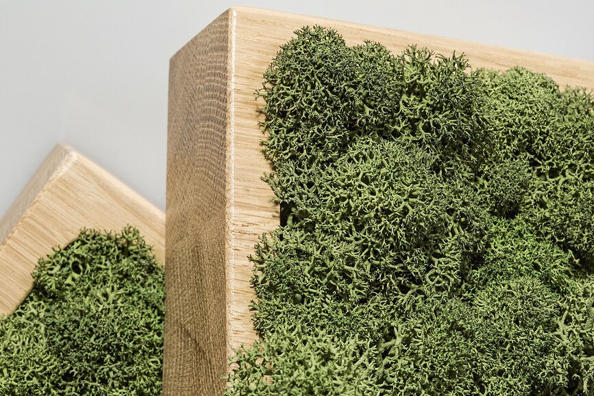 Amsterdam Hygromètre