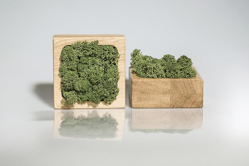 amsterdam Υγρόμετρο