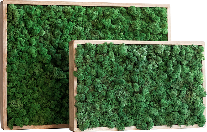 Decoración de Pared Gate, 54 cm