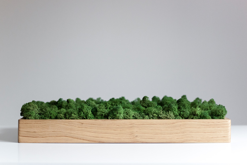 Decoración de Pared Gate, 54 cm