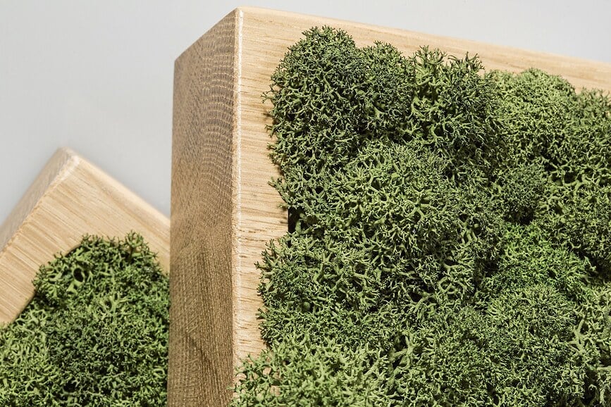 Higrómetro Amsterdam