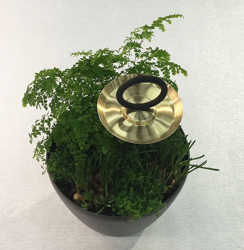 Bebedero para Pájaros Round Up, negro