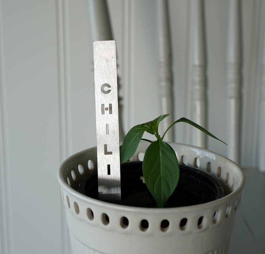 Born in Sweden Δείκτης για βότανα Chili, ανοξείδωτο ατσάλι