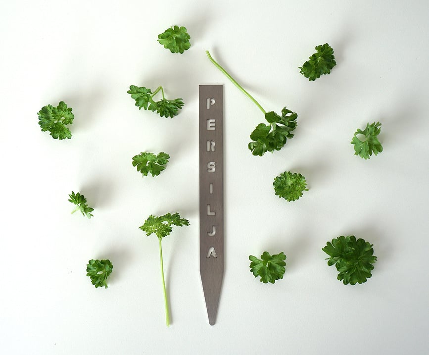 Born in Sweden Δείκτης για βότανα Chili, ανοξείδωτο ατσάλι