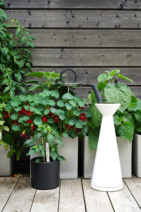 Born in Sweden Kanta za Zalijevanje 7,5 l crna