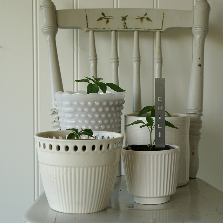 Born in Sweden Chili Marqueur pour Herbes, en acier inoxydable